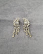 Dazzling White Zircon Winged Chandelier Earrings